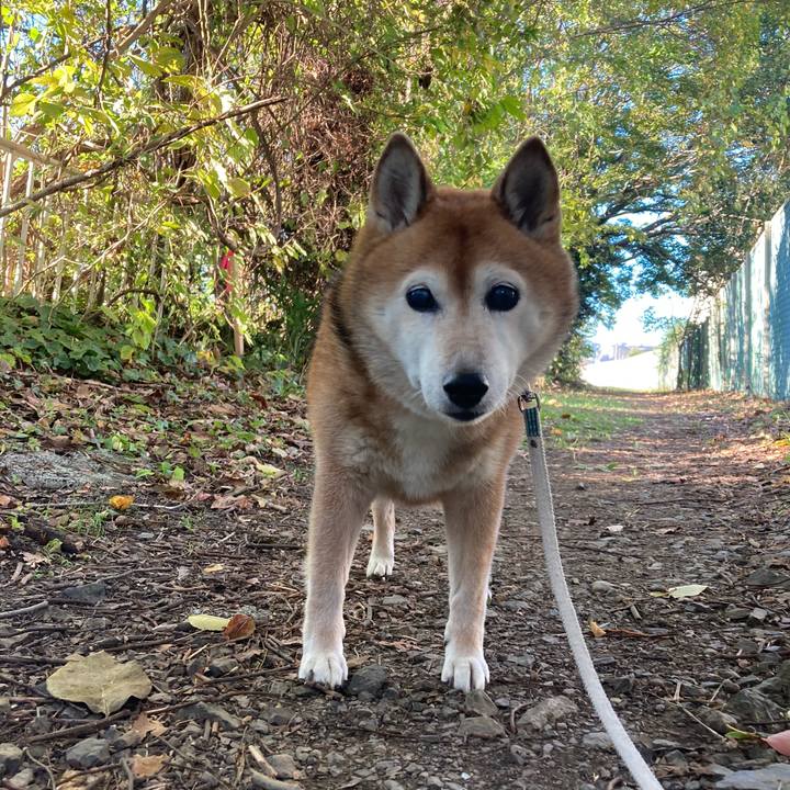 Cbfeabab a51c 494a acbe 0e9ab1ce7da6 1730939032128