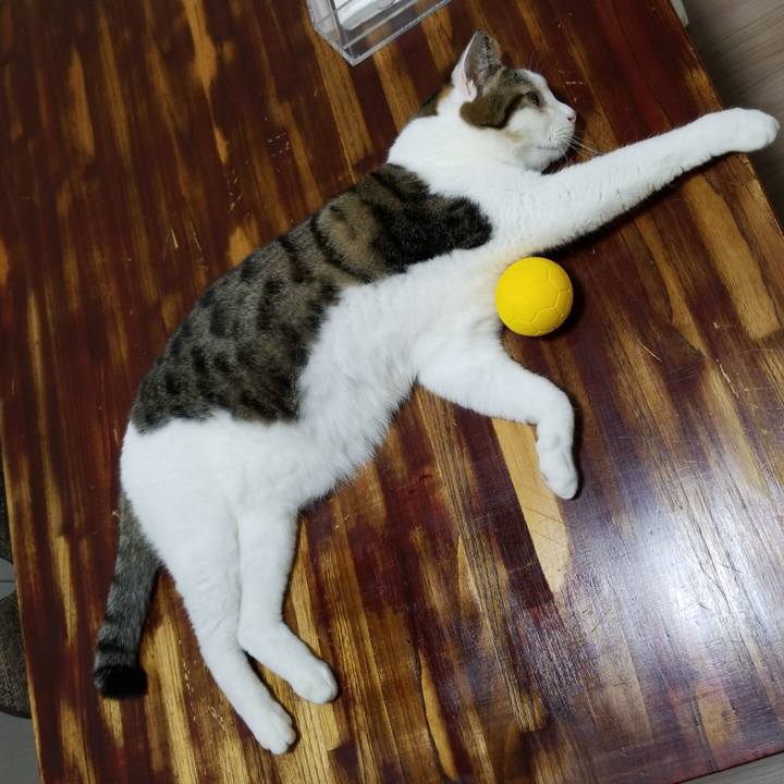 Cbfeb1e5 1e06 4e68 83dc c7a5c74c1a2b 1569361642568