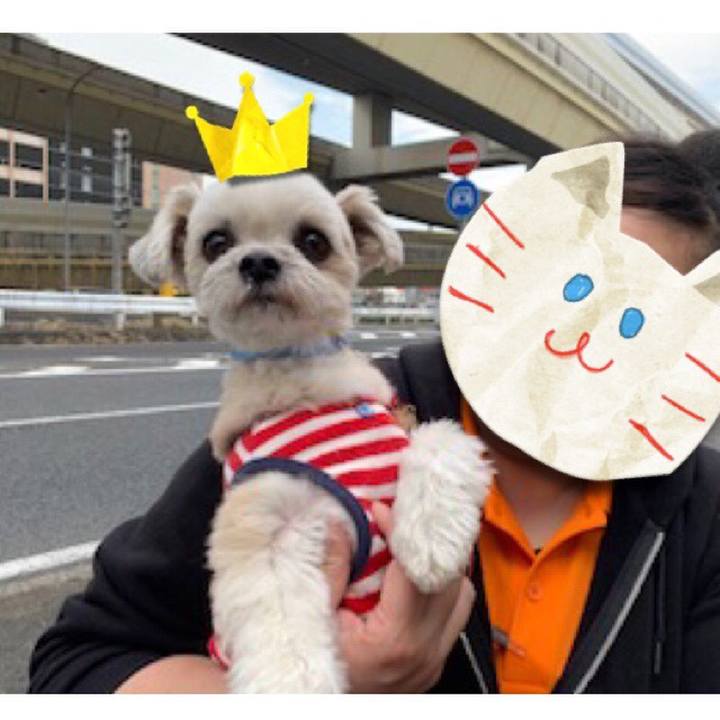 Cbfeb6ee 1e65 4b15 9fca 4f3fa4752edc 1553140280340