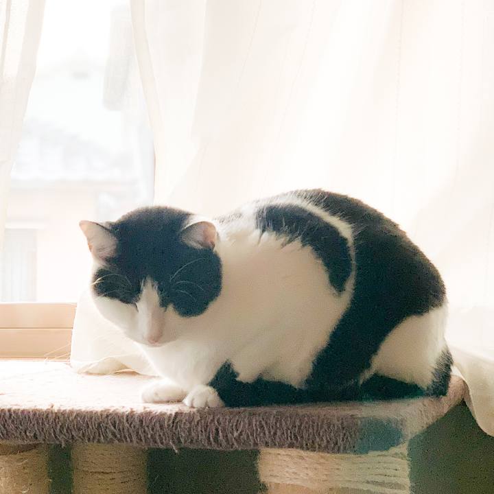 Cbfee8cf 4460 4139 b7dd bc17692af868 1581472337013