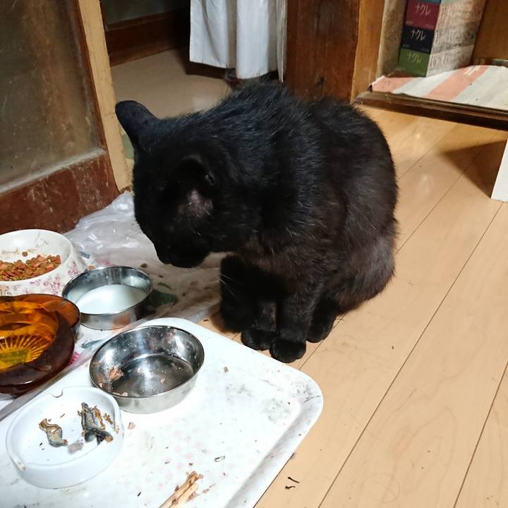 Cbff0062 7b13 4e43 9f8f f8137db5e1b5 1624360474758