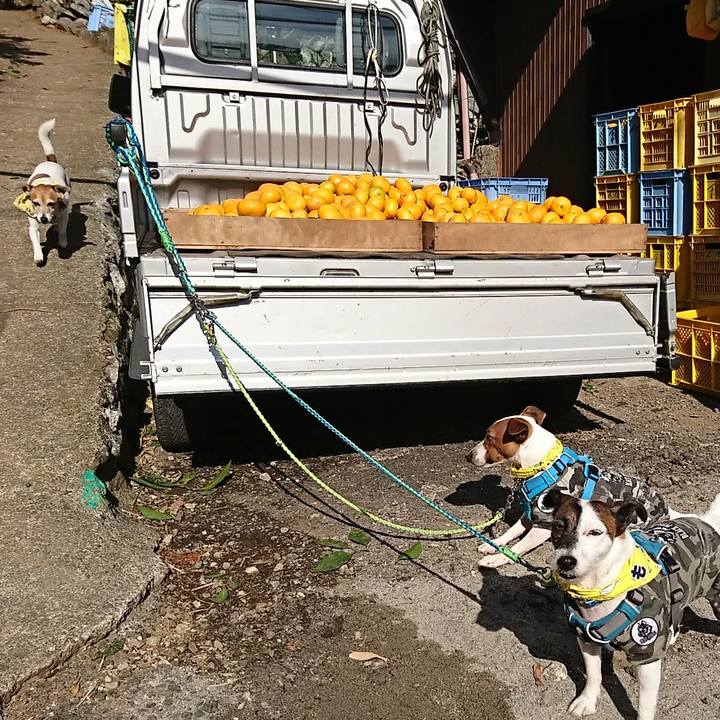 Cbff3bc6 a6da 4ca7 b20c 7746ecd97491 1576415609525