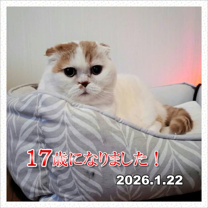 Cbff75cb 6f5a 4f97 95a5 8ff17a3e5fe5 1769083575360