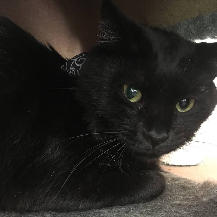 Cbff8497 3726 4bb0 bfc1 575a567c0015 1535854490239