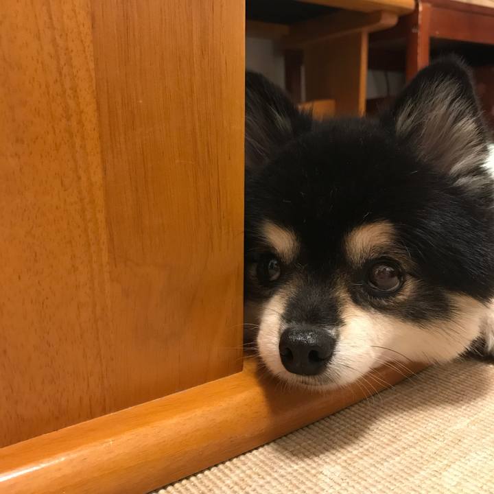 Cbff8c21 804a 4964 8c56 5dc0a2ad62d7 1535993623531