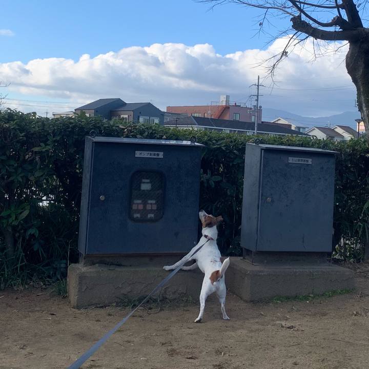 Cbffa592 9f48 484f a8b4 8580e5089797 1546084511496