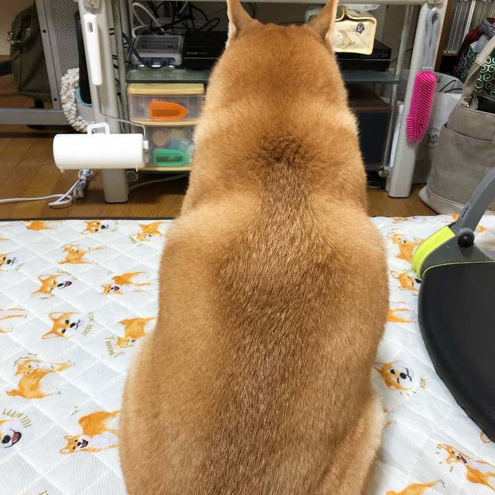 Cbffcdd0 ab28 4241 9a2d 2a12115396eb 1567729932889