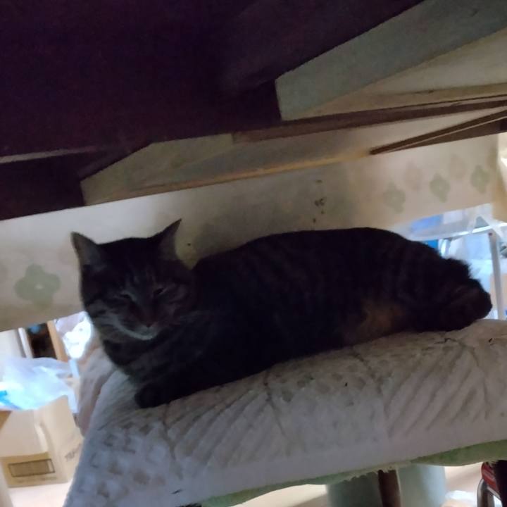 Cbffe87e 6e3b 423a 8810 5ffd9041a697 1668430104282