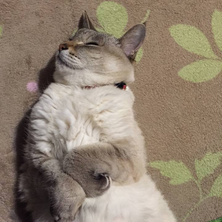 Cbffe99c 508d 4ccd ae42 5d6f65664c35 1549106134967