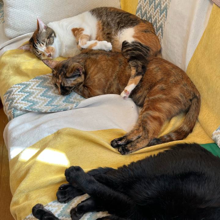 Cc0008ef 51f9 4c42 be04 8299405a1660 1698109466272