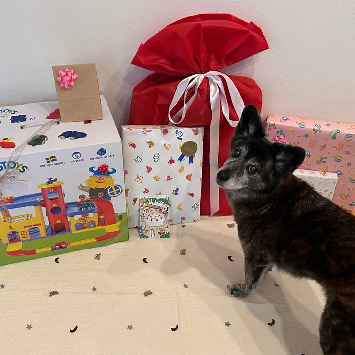 Cc001f00 dd2b 4fcb b28f 15b2cc82decb 1760968957173