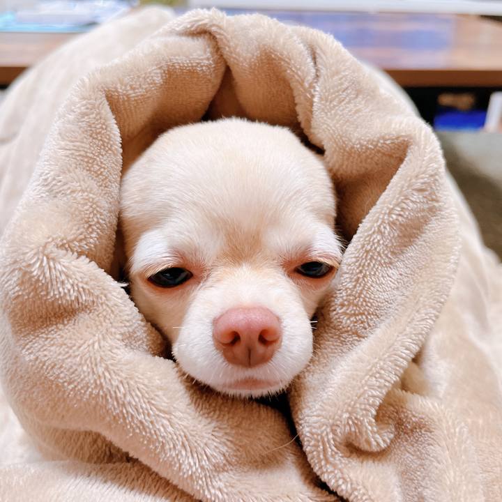 Cc0037db c50a 419d a0c1 76c9f4368fe6 1654571915057