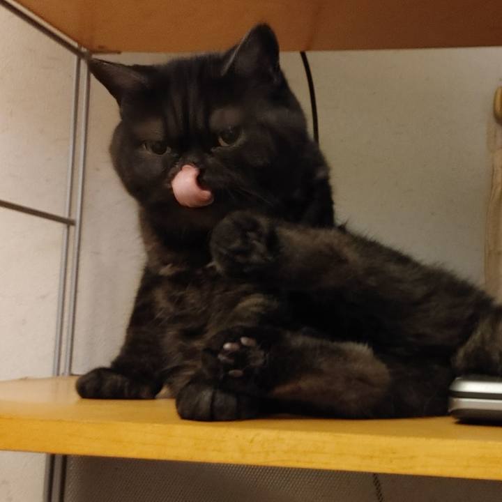 Cc0040cd ab76 41f8 b4f8 76dbe6f9fef1 1625961196726