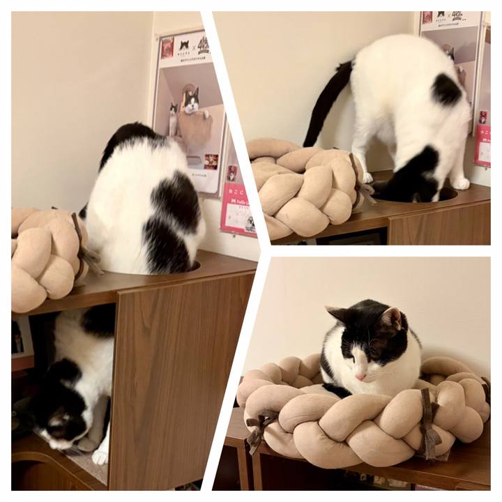 Cc005eab 74ee 4505 a426 c5f05d372151 1769819406669