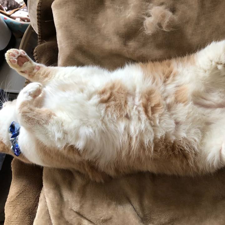 Cc011e98 b842 4f93 9bc7 d575ad6e3e60 1547948505777