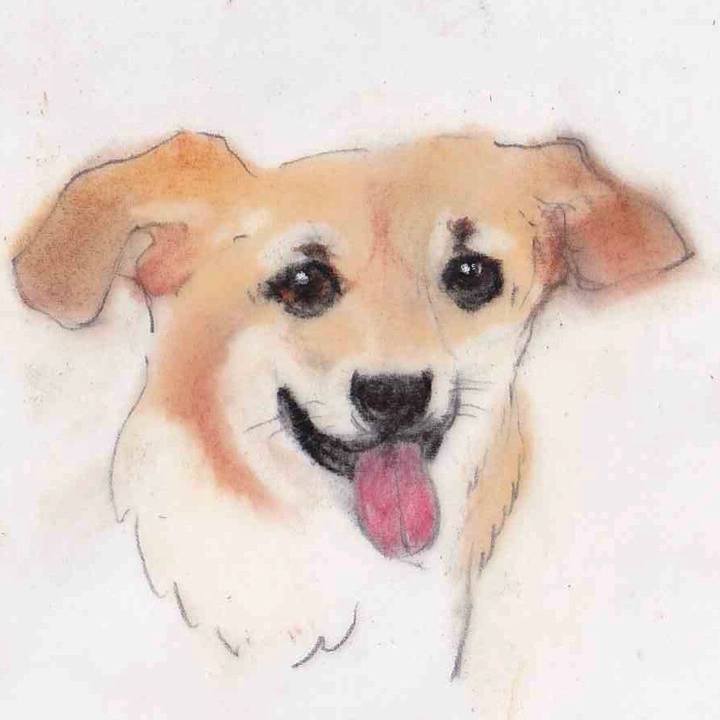 Cc012a9f 2fc9 44dd b8e3 24b8cfe54758 1640134576769