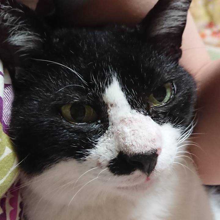 Cc0144a4 7efd 406a 93e0 6cdeb3b1f17a 1567382272700