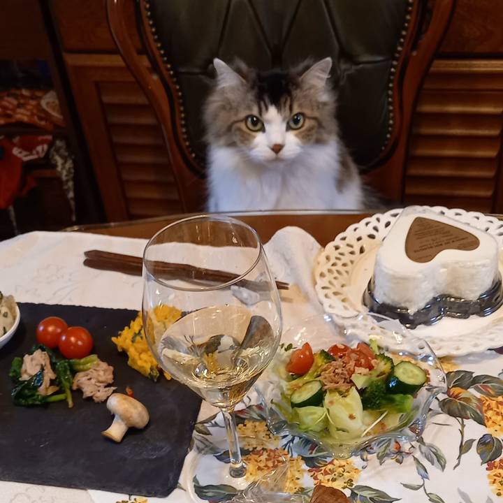 Cc016509 ca93 42b5 98a8 4534c3208759 1644662915487