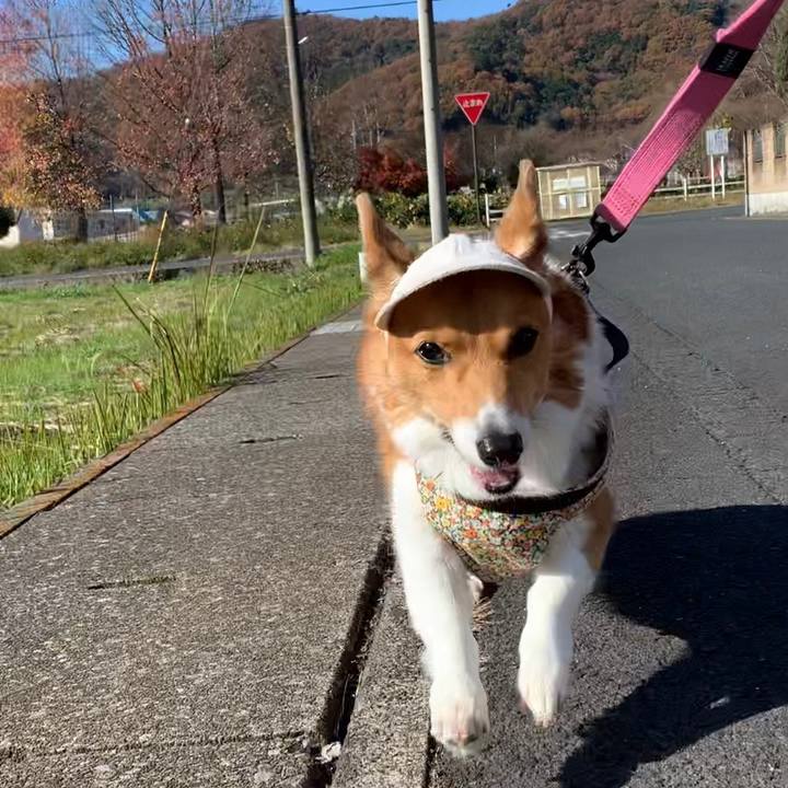 Cc01738b b7b3 463f bd8b 3e924faab4e0 1670123209647