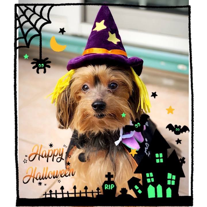 Cc018ea4 b83e 42c7 8554 bbb5dff20cb0 1572469031791