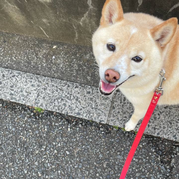 Cc01d5ca 9db7 4242 b44f 711ae6b7f117 1716202949374