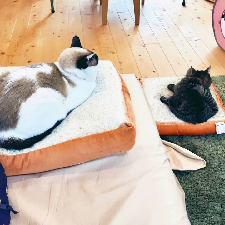 Cc01fe20 e4d2 431f a097 ea7426a537fd 1525655816685