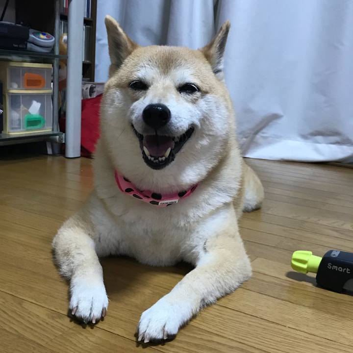 Cc022316 ed94 4b3a b8d4 7e3dcf5e2dc8 1527569197522