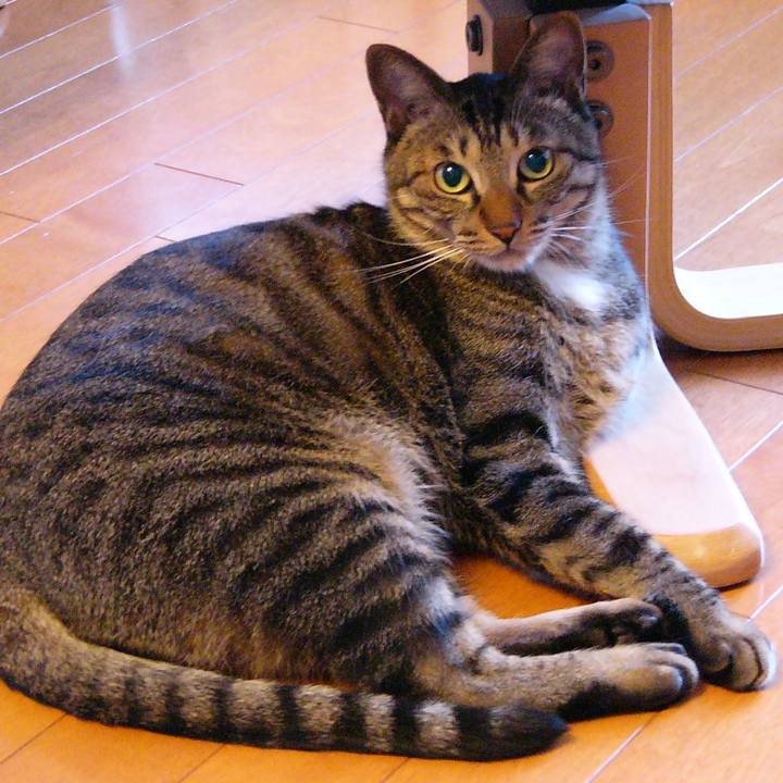 Cc023752 0c37 4507 af48 eff6e3dd568d 1597031573321