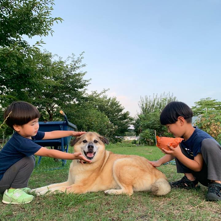 Cc024ae8 95ea 49bf a6d1 2ffaa49c6ac0 1627048731445