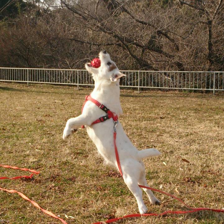 Cc024d9a 272b 4fb6 8c4a a0d784319fd5 1518392509586