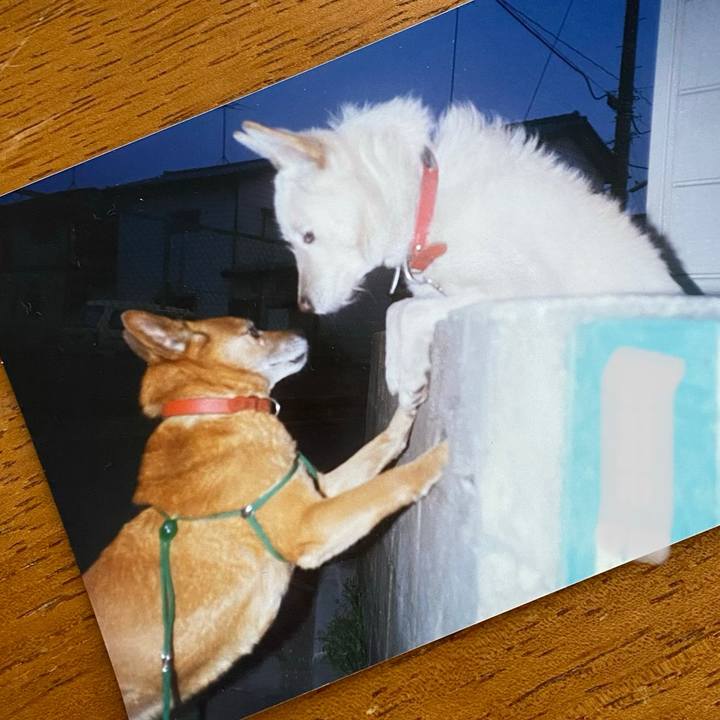 Cc02510d da3d 4c8b aa80 37324b7d7a8f 1619253592587