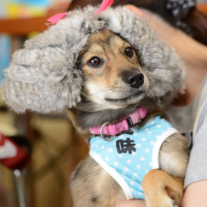 Cc02ad89 c030 4729 b13c a9e10e944c9c 1530204003805