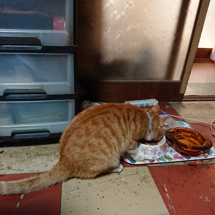 Cc0301ca 714e 4983 a915 bdae7e68f758 1593720086858