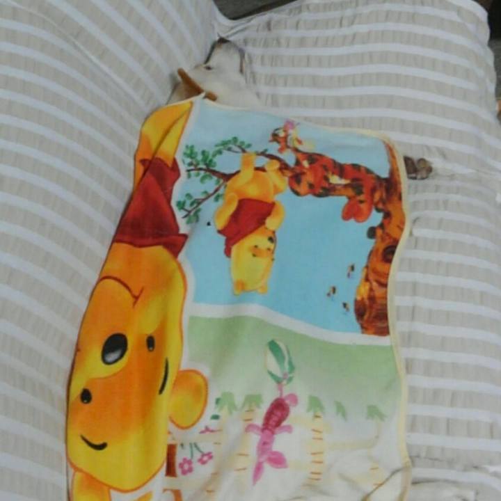 Cc0318ec f5fe 46a9 b722 2308039326e1 1508507246161