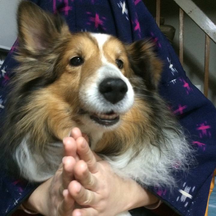 Cc0330bf 85ac 4747 8e7b 62362848c189 1689396323466