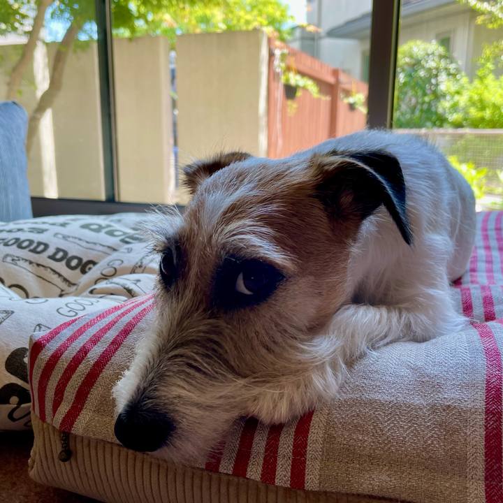 Cc033ec1 455c 4344 b5e9 2e2f0c1e9f40 1686990178802