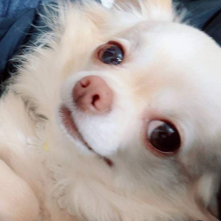 Cc035c51 2aa7 4335 8788 d378d6e68c7d 1713623903262