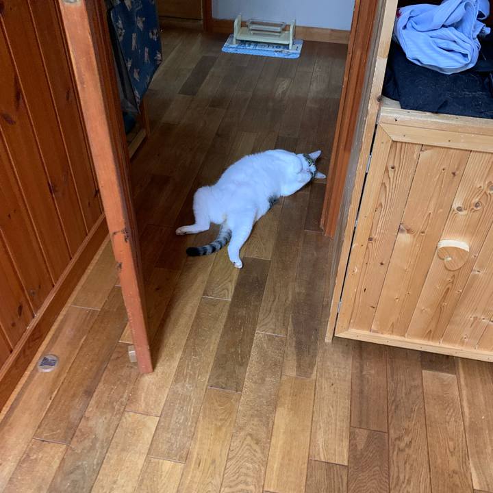 Cc036e20 f9a7 4ab1 970e 362b21a260e6 1626136248768