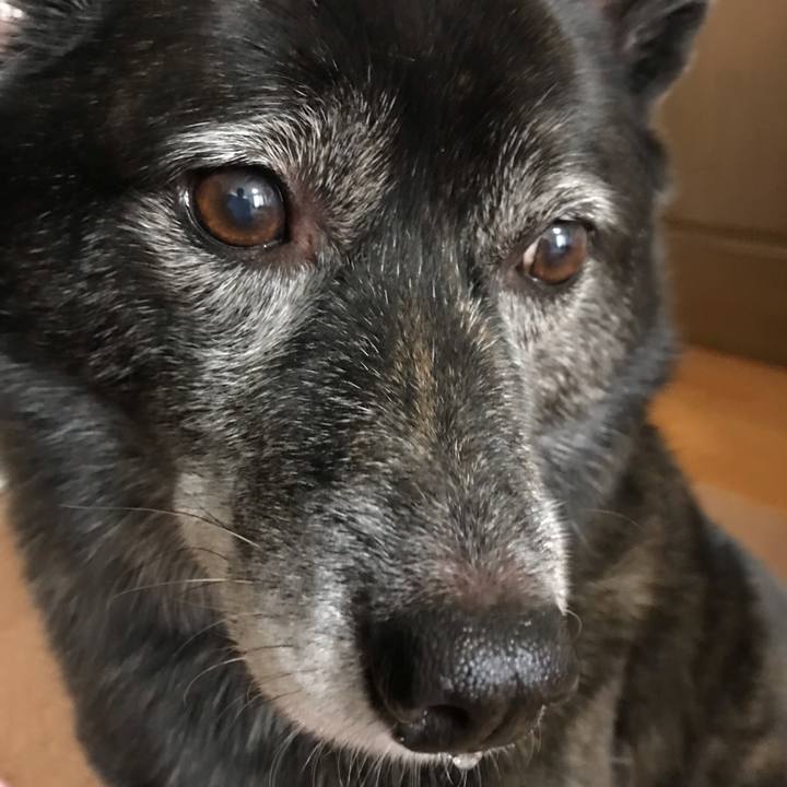 Cc0385d8 d380 4833 835f 1701857995ed 1541326753446