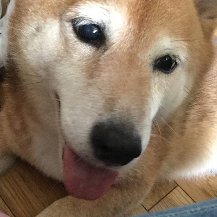 Cc03b293 f986 4359 8a7c cdfdfbe61005 1597638925532