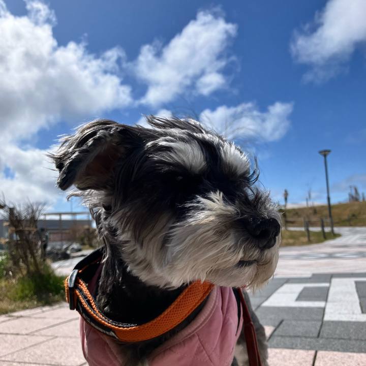 Cc03badd 4872 46a8 a73b 33ce13e1aadb 1773485823347