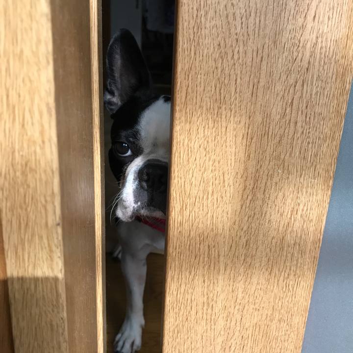 Cc03df7d ea6b 4d4c aa44 aa88977d2e3d 1510447517399