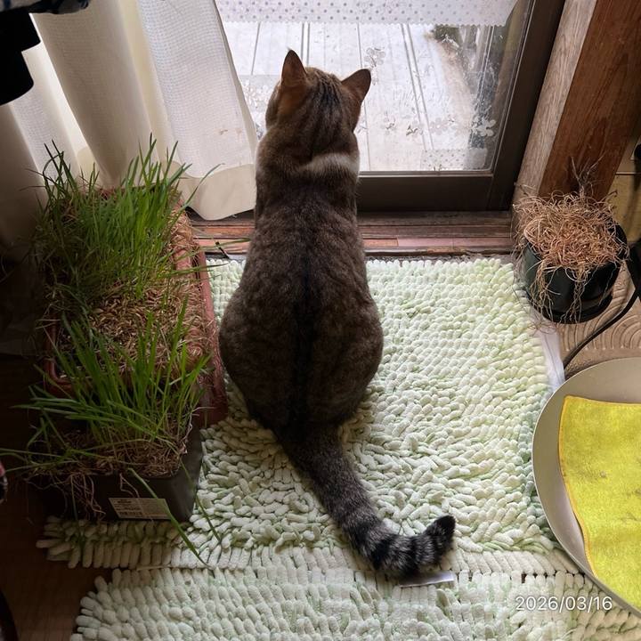 Cc0434dc edc2 4963 adae ca83244f1743 1773871184902