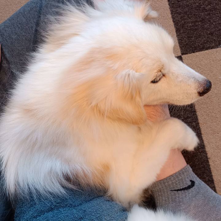 Cc044d2f 0fd6 4a63 addd 5404d59bb135 1757049425002