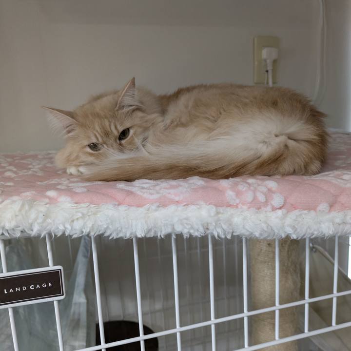 Cc04960d e50f 4d1a 8ff2 c9524fd12a1b 1767143158331