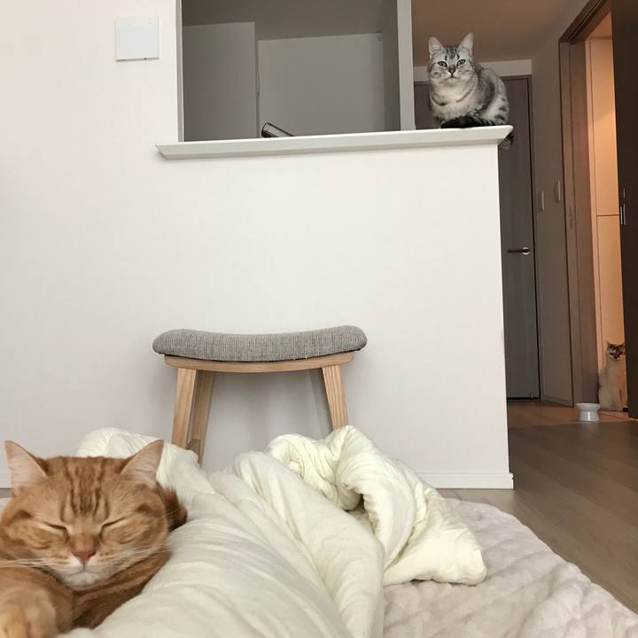 Cc04a054 bb25 4e7c b922 efafc8048e78 1526774920271