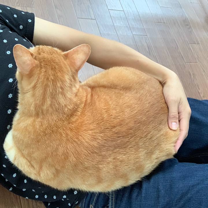 Cc051d89 acf8 403b a0fb a8bd39737c15 1566626960657