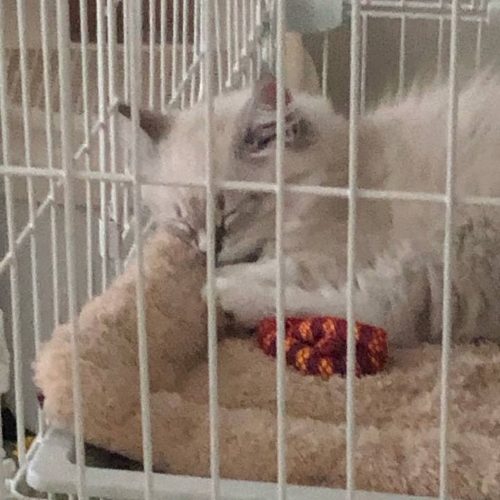 Cc05221d d270 4456 97dc 701400035764 1666421926067