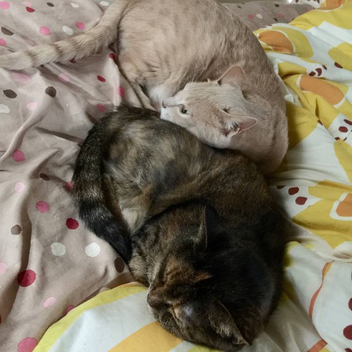 Cc052c2b ab7c 4f81 ab6e e2a24db76bc0 1536742529825