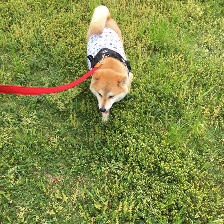 Cc0530d2 e378 4b44 98cd ed0705bd7f80 1557113399516